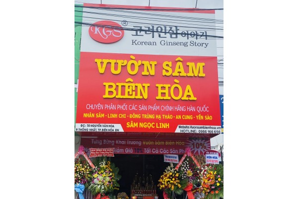 Khai Trương Vườn Sâm Chi Nhánh Biên Hòa Đồng Nai