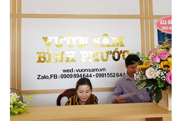 Chào mừng thêm một thành viên mới của Vườn Sâm tại Bình Phước