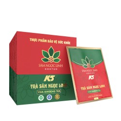 TPBVSK K5 Vina Giseng Tea Hộp 20 Gói