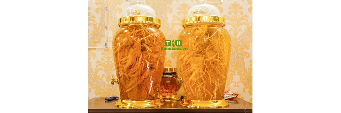 Cách Làm Rượu Nhân Sâm Tươi Hàn Quốc Công Thức Ngâm Rượu Sâm Chuẩn Vị Tại Nhà